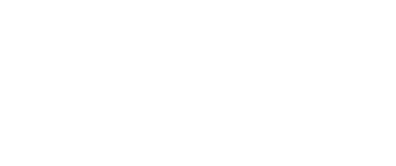 Logo Aeroporto di Torino